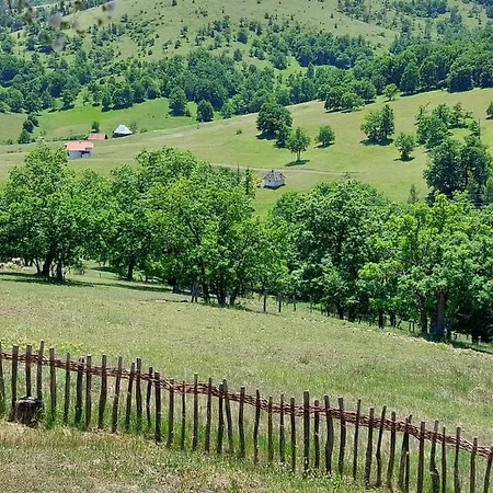 Iva * Zlatibor
